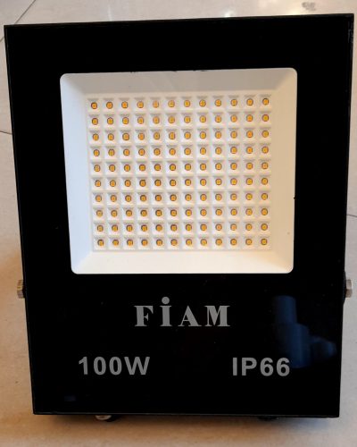 FIAM LED Flood Light 100W A56