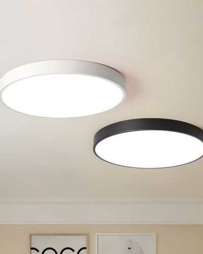 Circular flush mount and hanging modern lamp