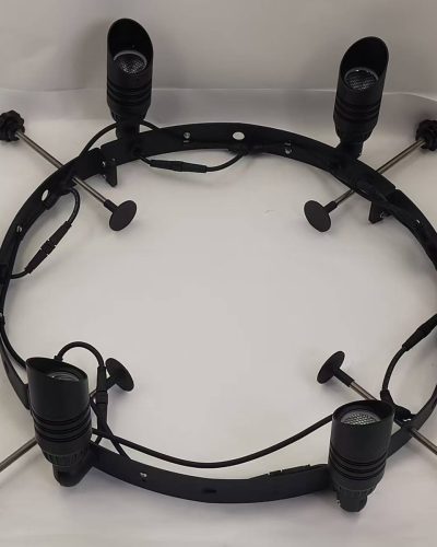 Palm tree led ring light with 6 spot lights